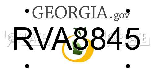 RVA8845 Georgia License Plate