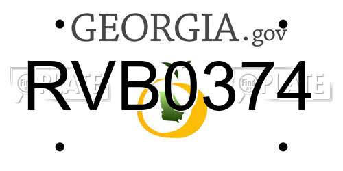 RVB0374 Georgia License Plate