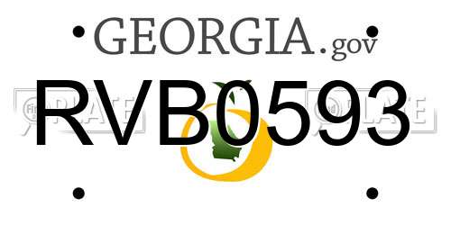 RVB0593 Georgia License Plate