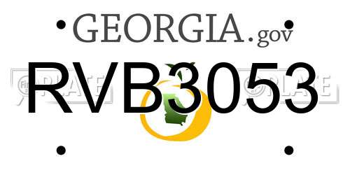 RVB3053 Georgia License Plate