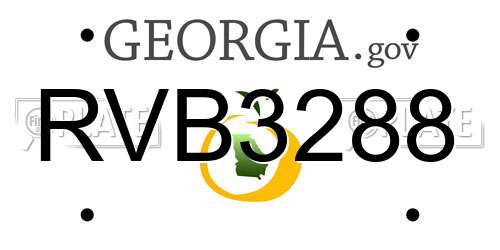 RVB3288 Georgia License Plate