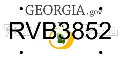 RVB3852 Georgia License Plate