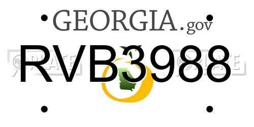 RVB3988 Georgia License Plate