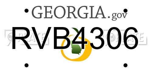 RVB4306 Georgia License Plate