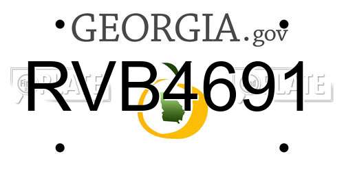 RVB4691 Georgia License Plate