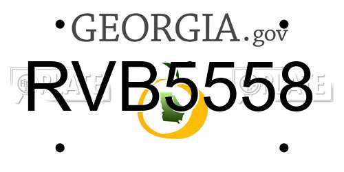 RVB5558 Georgia License Plate