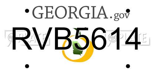 RVB5614 Georgia License Plate