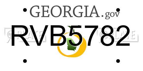 RVB5782 Georgia License Plate