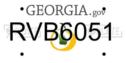 RVB6051 Georgia License Plate