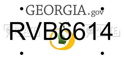 RVB6614 Georgia License Plate