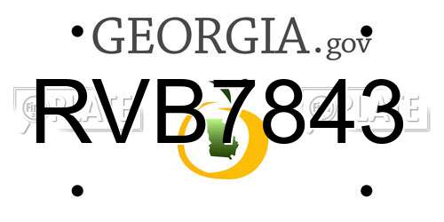 RVB7843 Georgia License Plate