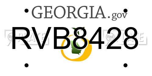 RVB8428 Georgia License Plate