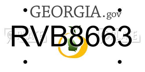 RVB8663 Georgia License Plate