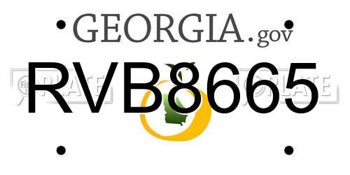 RVB8665 Georgia License Plate