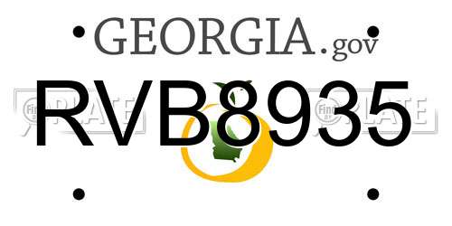 RVB8935 Georgia License Plate