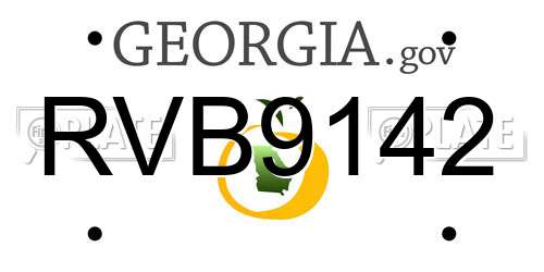 RVB9142 Georgia License Plate