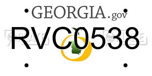 RVC0538 Georgia License Plate