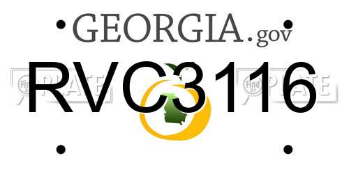 RVC3116 Georgia License Plate