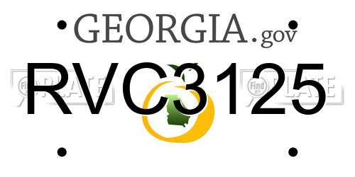 RVC3125 Georgia License Plate