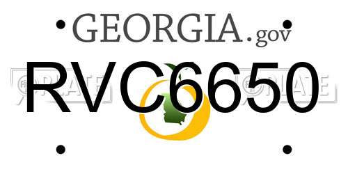 RVC6650 Georgia License Plate