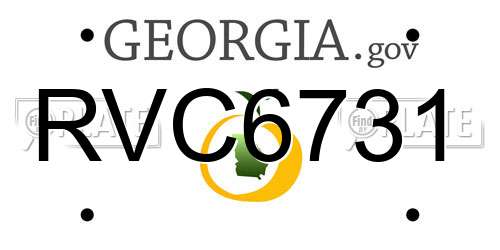 RVC6731 Georgia License Plate