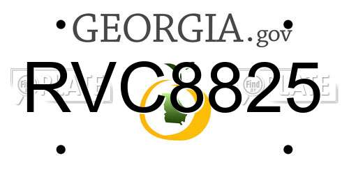RVC8825 Georgia License Plate