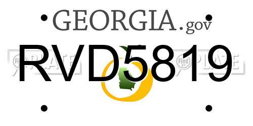 RVD5819 Georgia License Plate