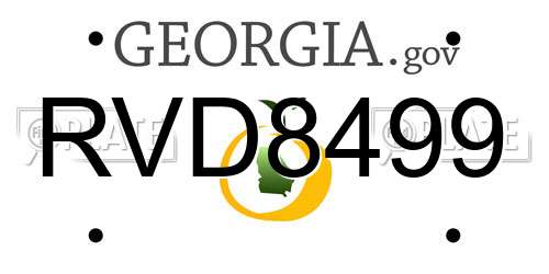 RVD8499 Georgia License Plate