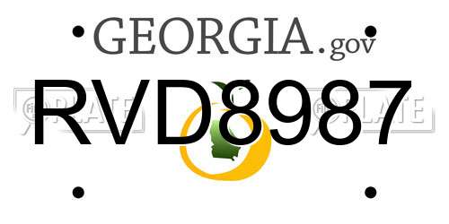 RVD8987 Georgia License Plate