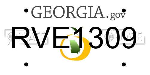 RVE1309 Georgia License Plate