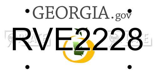 RVE2228 Georgia License Plate