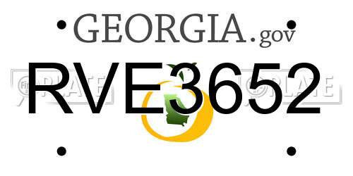 RVE3652 Georgia License Plate