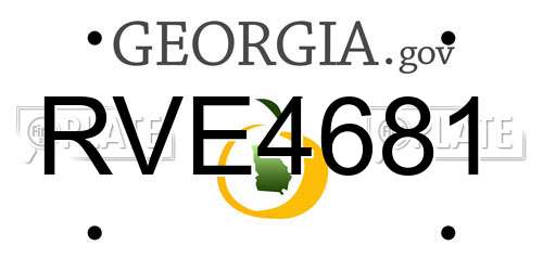RVE4681 Georgia License Plate