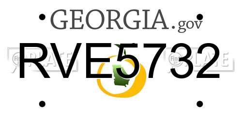 RVE5732 Georgia License Plate