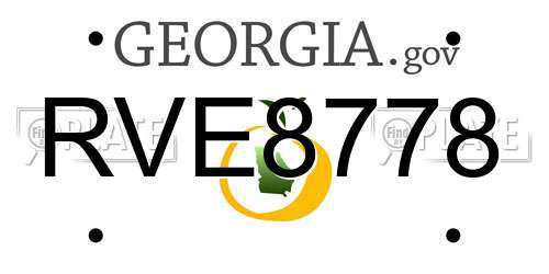 RVE8778 Georgia License Plate