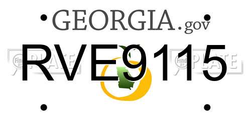 RVE9115 Georgia License Plate