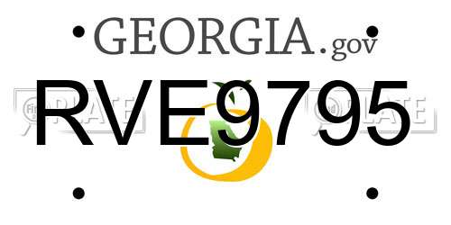 RVE9795 Georgia License Plate