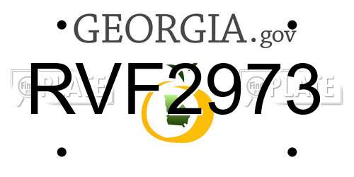 RVF2973 Georgia License Plate