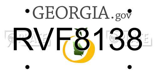 RVF8138 Georgia License Plate