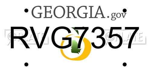 RVG7357 Georgia License Plate