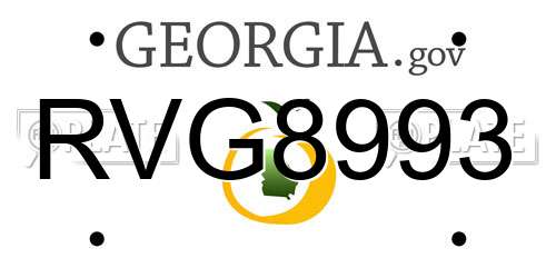 RVG8993 Georgia License Plate