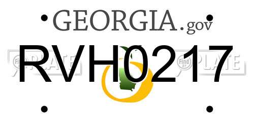 RVH0217 Georgia License Plate