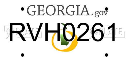 RVH0261 Georgia License Plate