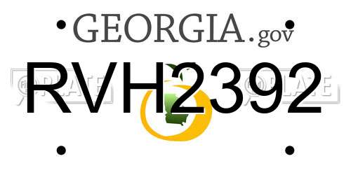RVH2392 Georgia License Plate