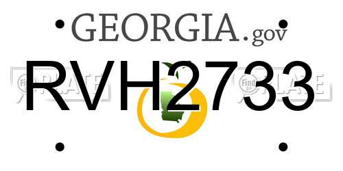 RVH2733 Georgia License Plate