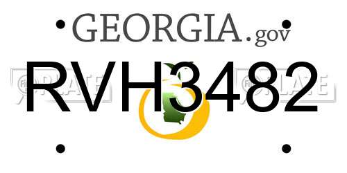 RVH3482 Georgia License Plate