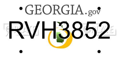 RVH3852 Georgia License Plate