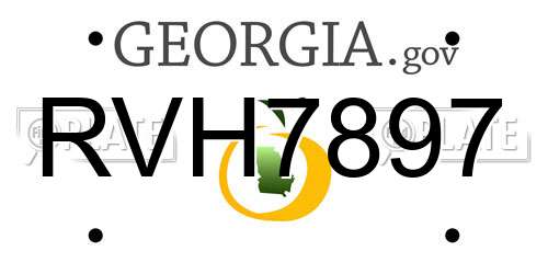 RVH7897 Georgia License Plate