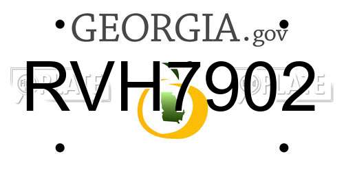 RVH7902 Georgia License Plate