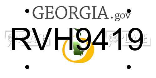 RVH9419 Georgia License Plate